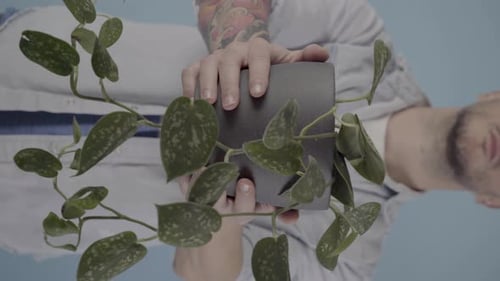 Adult Holding a Potted Plant Indoors