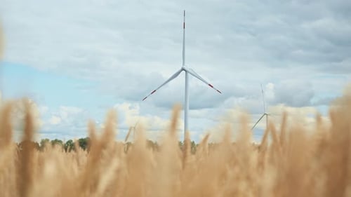Windmühlenfarm, die auf einem Weizenfeld steht, dreht die Flügel und erzeugt kohlenstofffreien, nachhaltigen grünen Wind