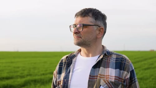 Senior Farmer is Standing in His Growing Wheat Field He is Satisfied After Successful Sowing