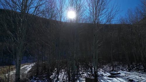 A winter landscape in the forest