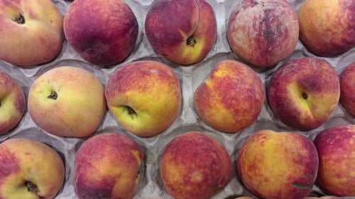 Ripe Peaches Filling a Cardboard Container
