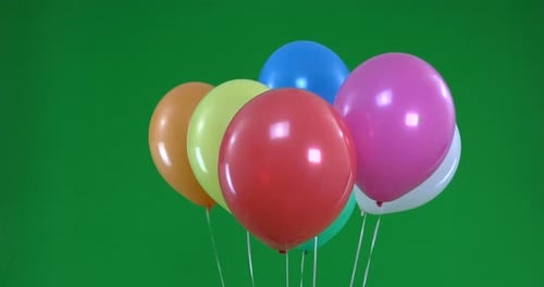 Green screen of colorful Balloons that rise