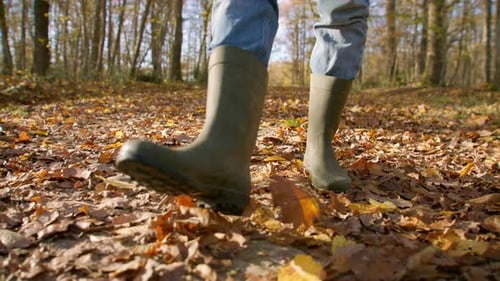 Walking with high cut boots on dried leaves in the middle of the forest while wearing jeans, low ang