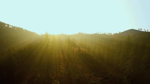 Les rayons dorés projettent des ombres calmes sur une vue sereine sur la campagne