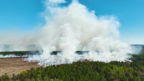 Aerial View of White Smoke From Forest Fire Rising Up Polluting Atmosphere