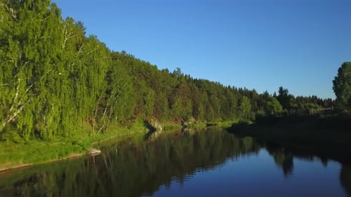 Um rio sereno e tranquilo flui suavemente através de uma exuberante e vibrante paisagem florestal Stock Clip