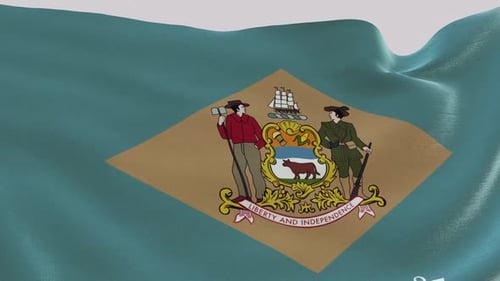 Delaware State Flag Waving with Realistic Fabric Texture