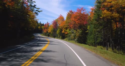 Driving Down Mountain Road, Empty Forest Drive Active