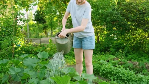 Woman Watering Plants in Sunny Garden