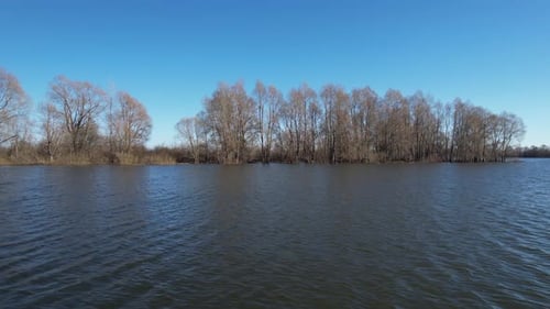Bäume wachsen aus Wasser