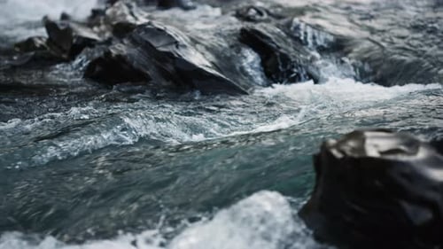Clear water splashing in mountain river rapids flowing through a beautiful landscape