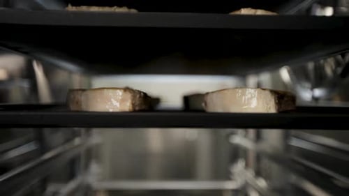 Slices of meat grilling on industrial oven, close-up