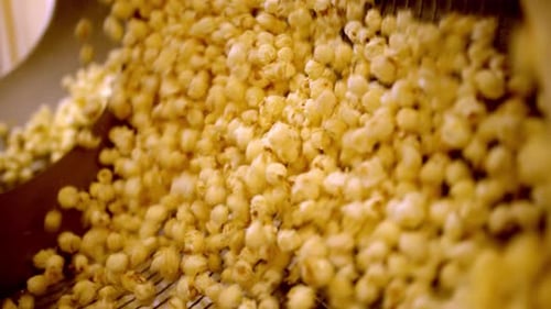 Delicious golden sweet popcorn being cooked in special close up view