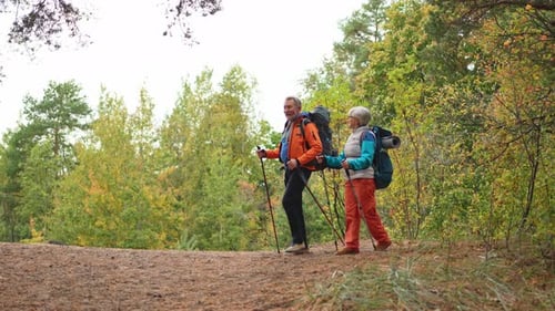 Hiking Tourism Adventure Senior Couple Man Woman Enjoying Outdoor Recreation Hiking in Forest Happy