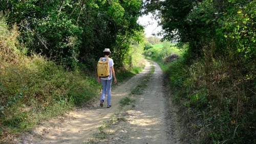 Woman Hiking Through a Lush Forest Enjoying the Natural Surroundings