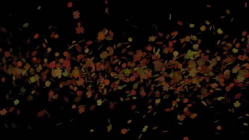 Animated Autumn Leaves Stream Falling Flying Background Overlay