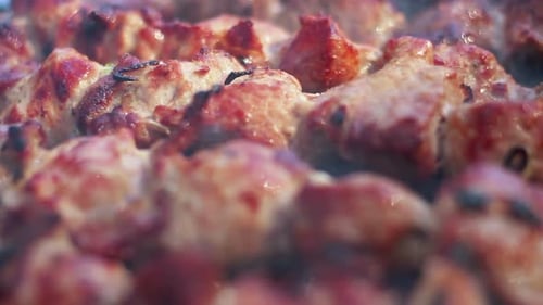 Gekochtes Fleisch. Gegrilltes Fleisch. Shish Kebab für ein Picknick kochen. Leckeres Grillgut. Nahaufnahme. Geröstet...