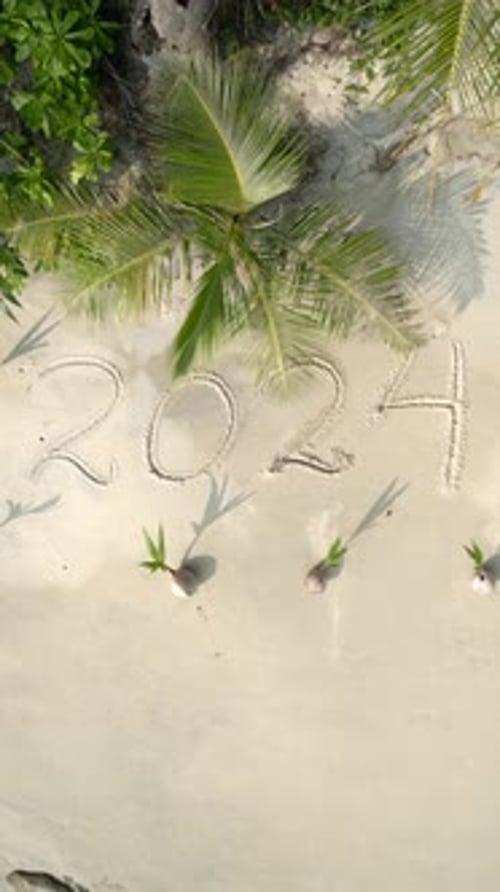 The Year 2024 Written on the White Sand on a Beach with Young Coconut Palms