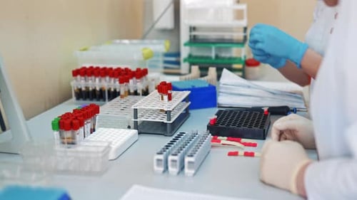 Lab Workers Performing Blood Tests in Medical Laboratory