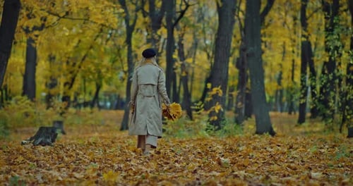 Young Woman Walking Over Yellow Fallen Foliage in Park in Autumn Day Rear View Prores