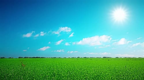 green field and cloudy sky timelapse