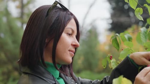 Woman in Jacket Collects Tiny Red Berries Amid Green Leaves During Autumn Woman Wearing Sunglasses