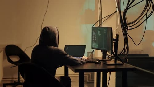 Professional Hacker Using Online Pc System to Access Sensitive Information
