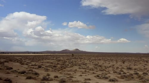 The Mojave Desert landscape and ancient geological features nature's most harsh climate - aerial par