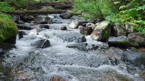 Woodland Waterfall Flowing Gently Through Rocks And Peaceful Forest Setting