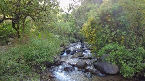 A crystal-clear stream cascades down a majestic mountain while you admire the stunning natural beaut