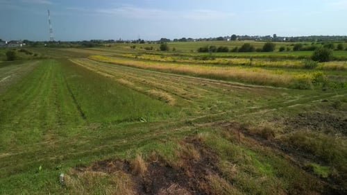 Wheat field aerial view in Ukraine