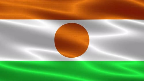 Waving Flag of Niger, Seamless Loop Background