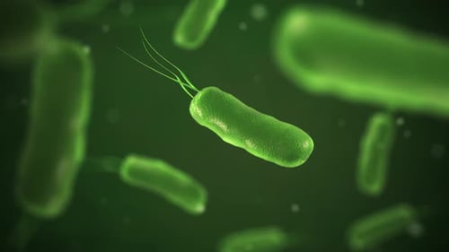 Primer plano de bacterias microscópicas, ilustración 3D