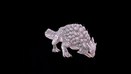 Spiny Lizard Eat Idle