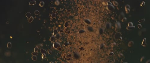 Explodierende Premium-Kaffeebohnen