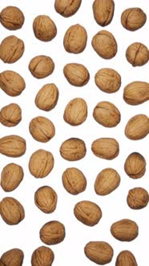 Walnuts Falling Down on White Background