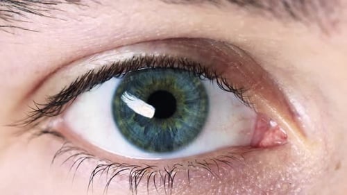 Close up macro shots of blue - green - yellowish eye reacting to light around it. Very detailed shot