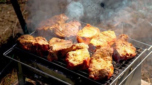 Tasty Meat Cooking on an Outdoor Grill