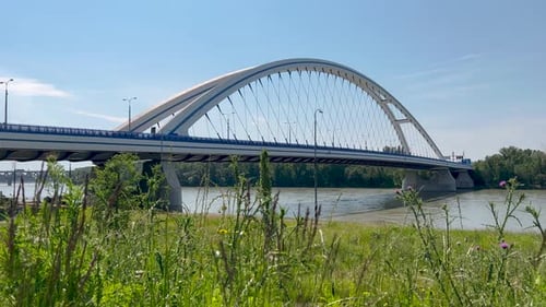 Ein sonniger Tag in einem modernen Park mit frisch gepflanzten Bäumen, leuchtendem grünem Gras und weißer Bogenbrücke
