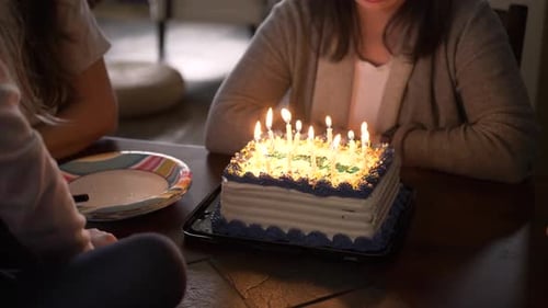 Birthday cake candles lit up in slow motion celebrating with family in Canada