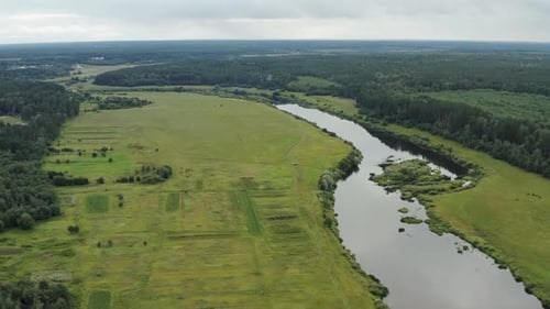Drone video. Summer. River in the forest, an island with trees.