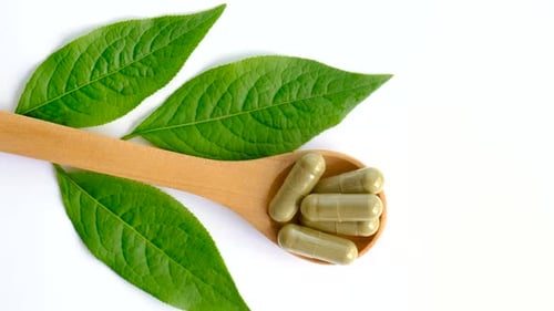 Herbal Capsules in Wooden Spoon with Green Leaves