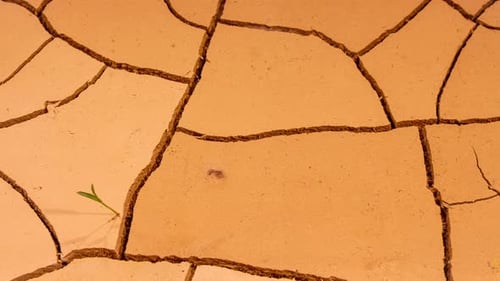 Cracked Soil in a Desert Drying Out in Timelapse. Ground Draining, Cracked Earth, Global Warming