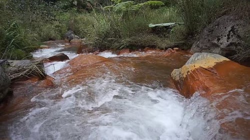 clear river water flowing in the mountains and green trees with a stretch of orange rocks