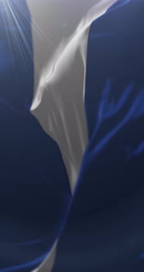 Realistic Waving Blue and White Flag Vertical Video