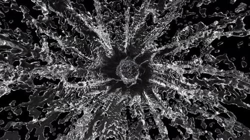 Water Splash