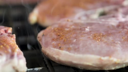A steak of meat is cooking on a grill close up. Scene B.