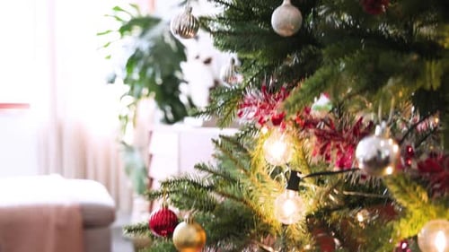Decorated Christmas Tree Indoors During the Day
