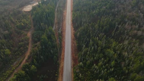 A Beautiful Aerial View of a Serene Country Road Surrounded By Lush Green Forests