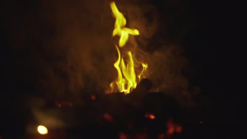 Firewood on fire